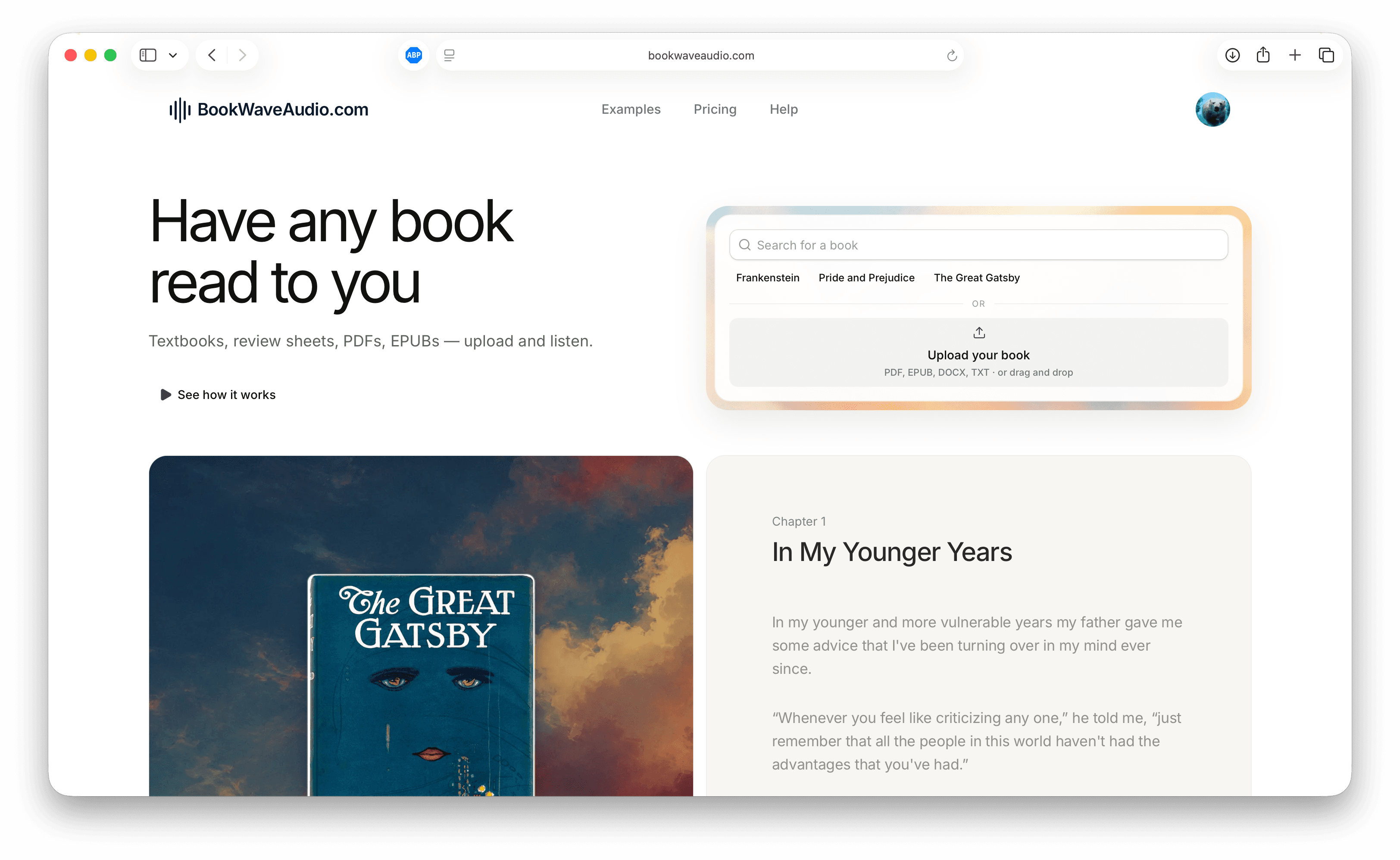 BookWave Audio screenshot